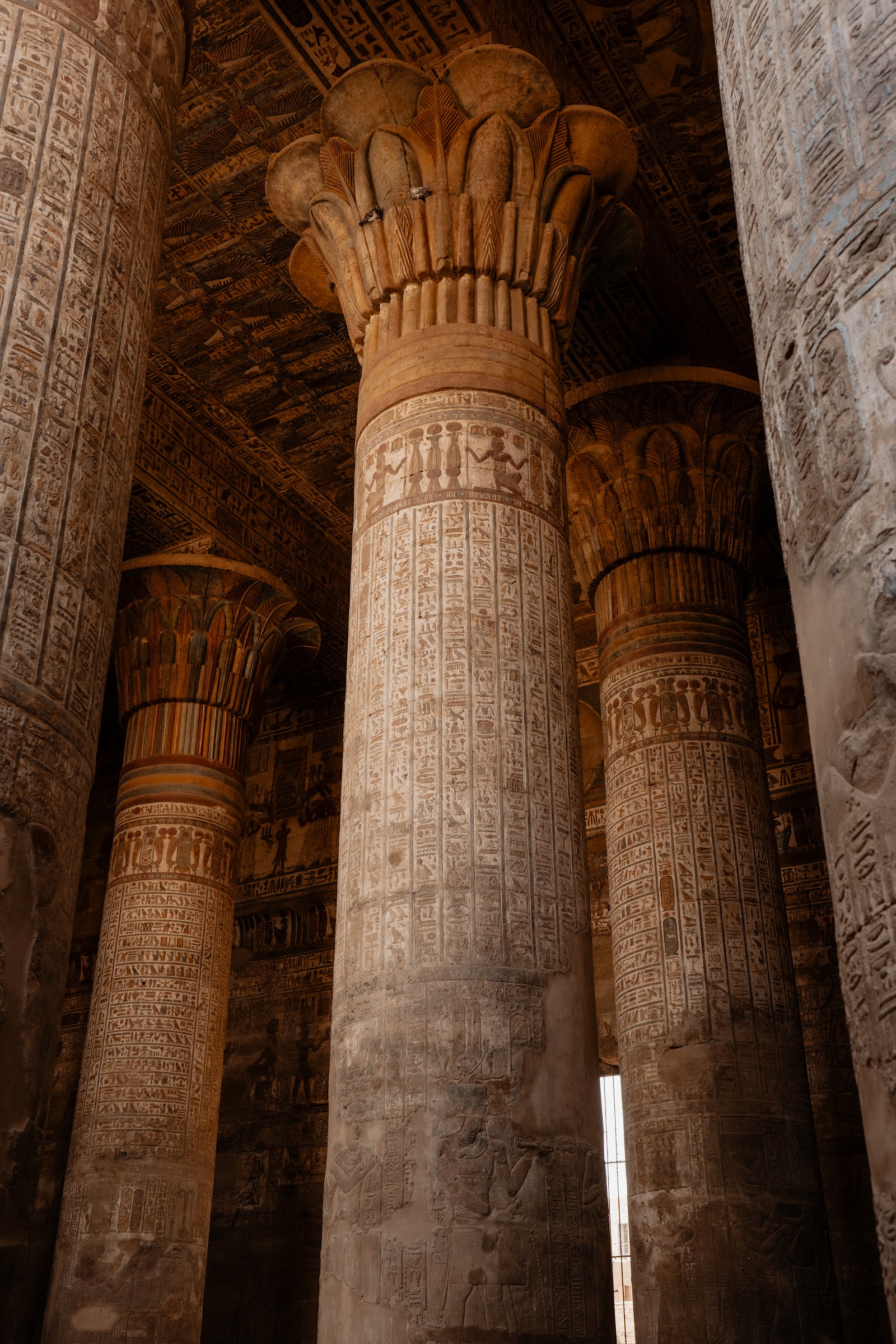 Temple columns on the Nile